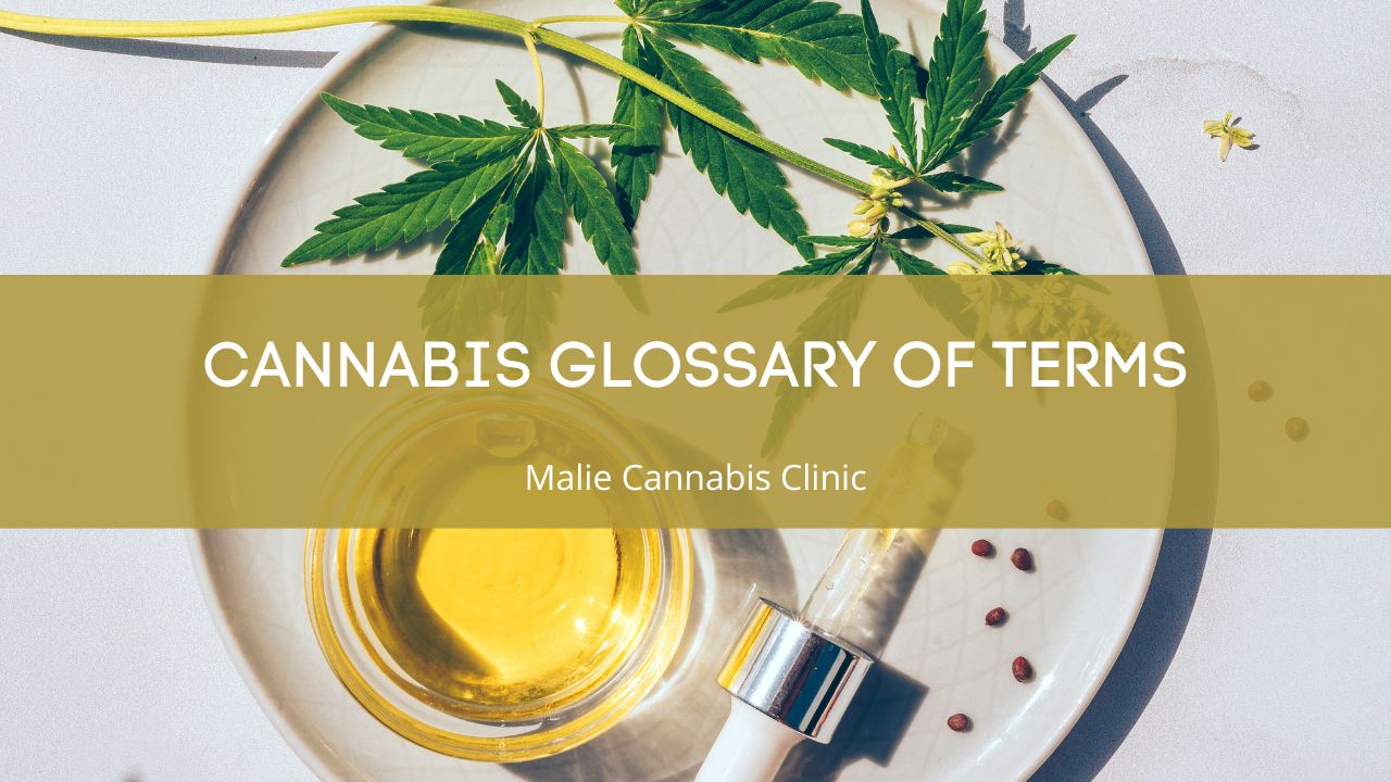 Cannabis Glossary of Terms